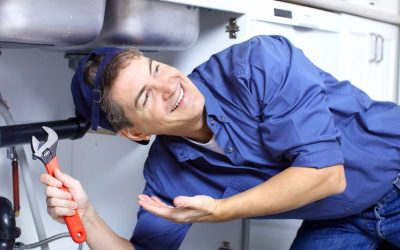 Apex Plumbing Services