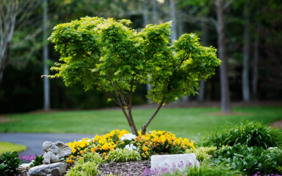 CRI Landscaping